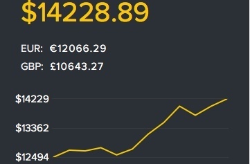 Біткойн побив позначку у $14 000 Біткойн побив позначку у $14 000