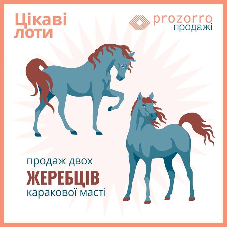 Купила мама коника: ProZorro розширює асортимент і пропонує на продаж Авангарда та Кентавра Купила мама коника: ProZorro розширює асортимент і пропонує на продаж Авангарда та Кентавра