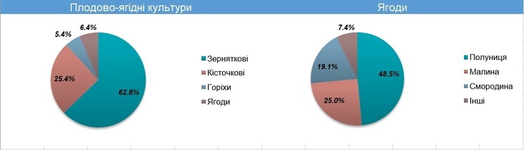 Життя – малина: як відбувається експансія українських ягідників у Європу Життя – малина: як відбувається експансія українських ягідників у Європу