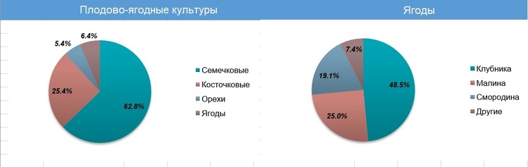 Жизнь – малина: как развивается экспансия украинских ягодников в Европу Жизнь – малина: как развивается экспансия украинских ягодников в Европу