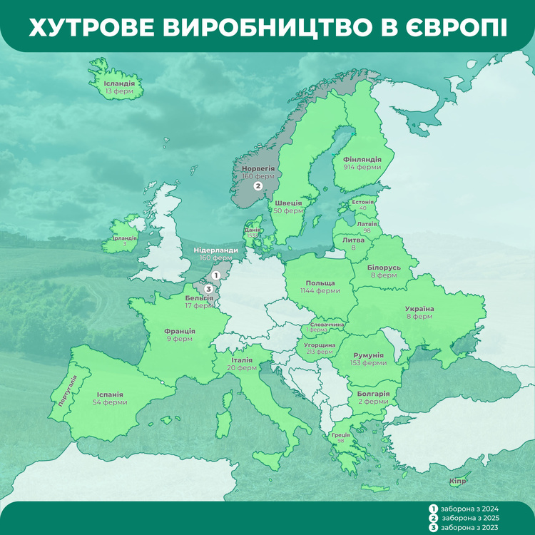Fur-free Украины: все «за» и «против» меховых ферм Fur-free Украины: все «за» и «против» меховых ферм