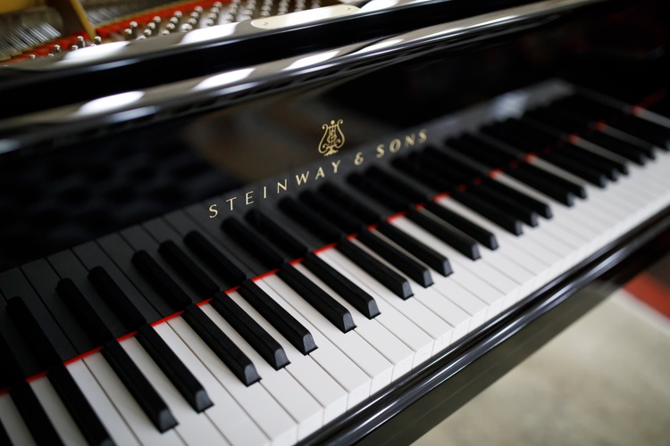 Бетховен фест та Steinway за 5 млн: досягнення «Друзів філармонії Дніпра» Томаса Бруннера Бетховен фест та Steinway за 5 млн: досягнення «Друзів філармонії Дніпра» Томаса Бруннера
