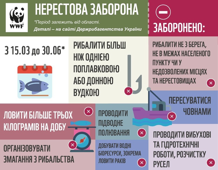 WWF-Україна закликає дотримуватися правил «сезону тиші» з 1 квітня WWF-Україна закликає дотримуватися правил «сезону тиші» з 1 квітня