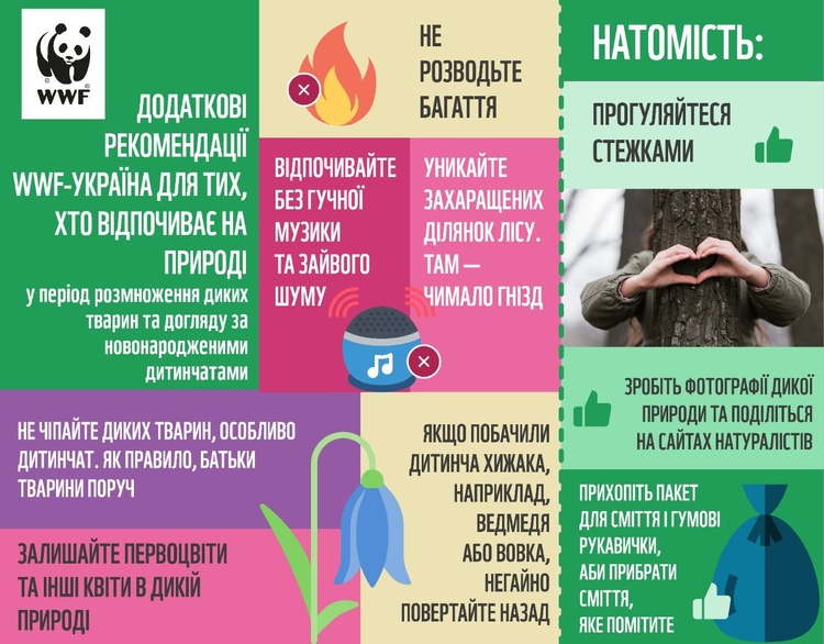 WWF-Україна закликає дотримуватися правил «сезону тиші» з 1 квітня WWF-Україна закликає дотримуватися правил «сезону тиші» з 1 квітня