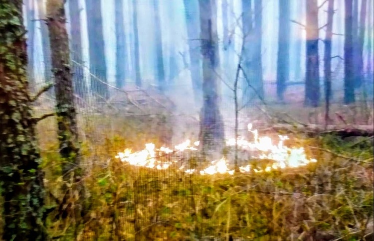 Нацгвардія розпочала антидиверсійну операцію через лісові пожежі в Чорнобильській зоні – Аваков Нацгвардія розпочала антидиверсійну операцію через лісові пожежі в Чорнобильській зоні – Аваков