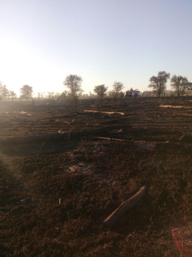 На Луганщині другу добу гасять лісову пожежу, спричинену обстрілом На Луганщині другу добу гасять лісову пожежу, спричинену обстрілом