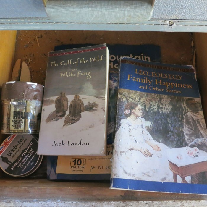 Безумство чи романтика: про що книга «У дикій глушині»? Безумство чи романтика: про що книга «У дикій глушині»?
