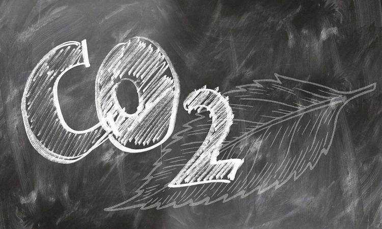10 глобальных трендов, которые определят развитие пищепрома в 2021 году 10 глобальных трендов, которые определят развитие пищепрома в 2021 году