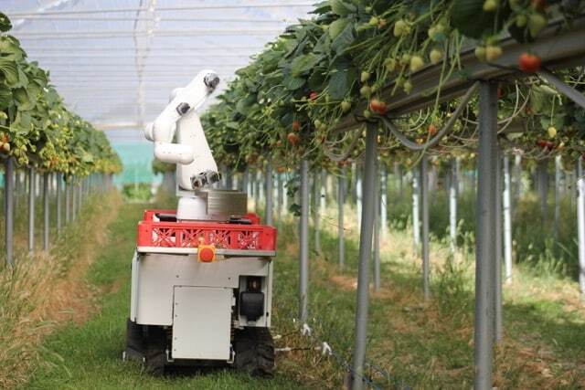 Пандемія прогресу: які 5 трендів в AgroTech допомагатимуть сільгоспвиробникам Пандемія прогресу: які 5 трендів в AgroTech допомагатимуть сільгоспвиробникам