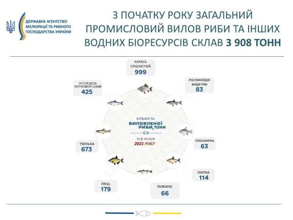 Україна збільшила вилов риби в Азовському морі на 42% Україна збільшила вилов риби в Азовському морі на 42%