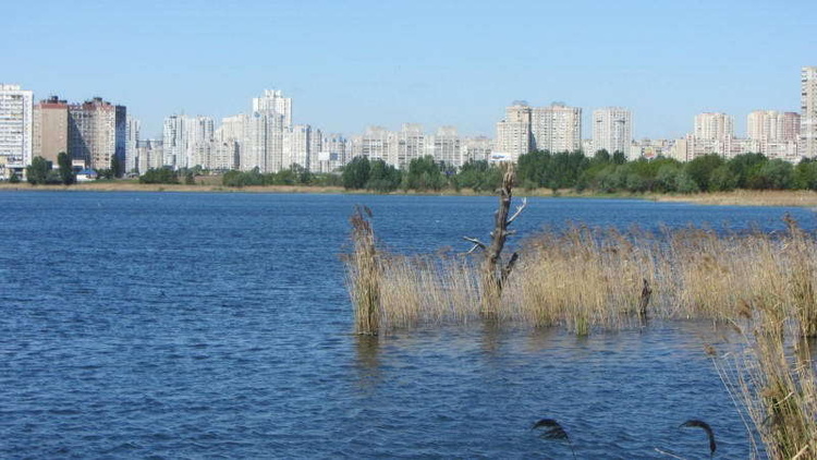 Спекотне літо 2021-го: 9+1 протистояння забудовників з активістами Спекотне літо 2021-го: 9+1 протистояння забудовників з активістами