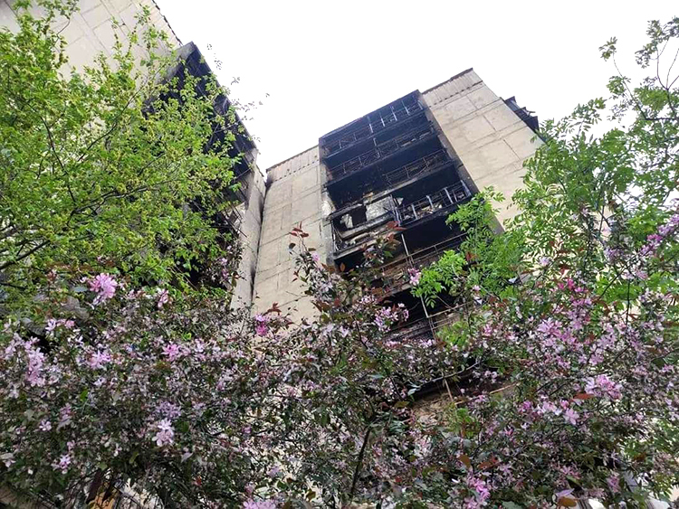 Вороги за добу зруйнували 24 будинки на Луганщині Вороги за добу зруйнували 24 будинки на Луганщині