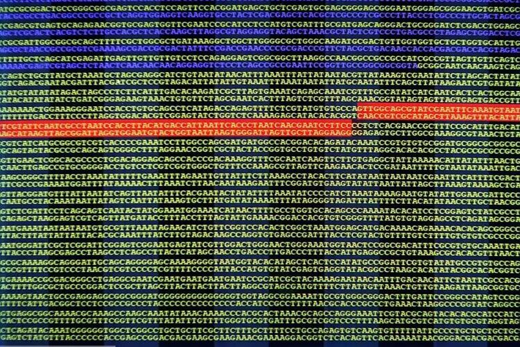 Термоядерний синтез та оживлення мертвих: 10 найяскравіших наукових проривів 2022 року Термоядерний синтез та оживлення мертвих: 10 найяскравіших наукових проривів 2022 року