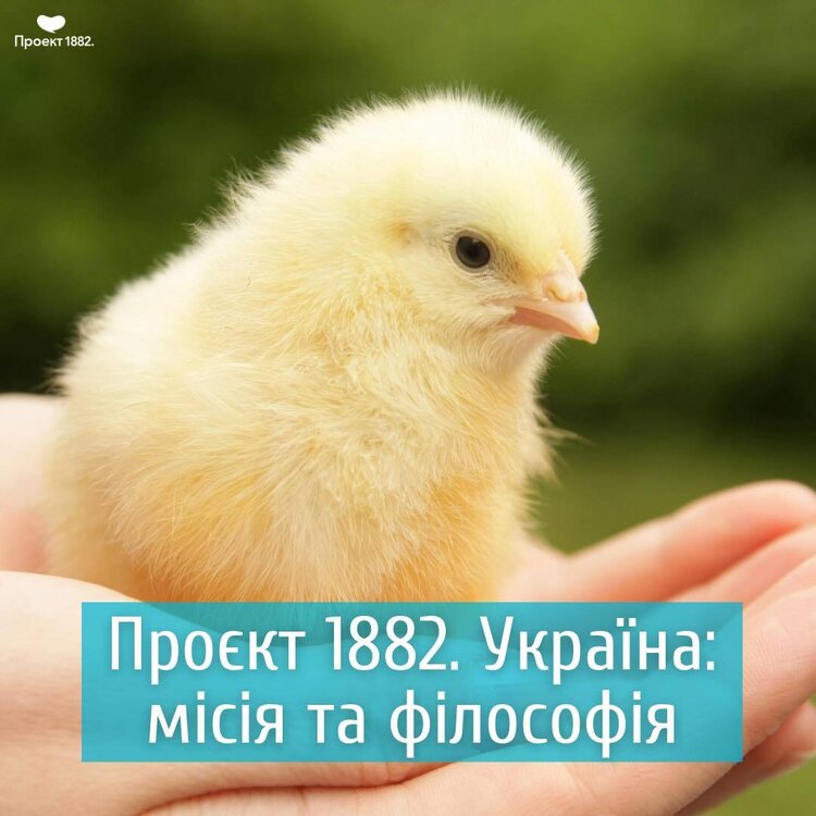 Найстаріша шведська громадська організація із захисту прав тварин відкриває дочірню організацію в Україні Найстаріша шведська громадська організація із захисту прав тварин відкриває дочірню організацію в Україні
