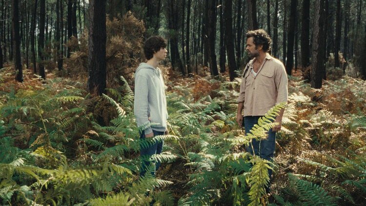Кінопрем’єри тижня: комедійний трилер «Мишоловка» і пригодницька фантастика «Королівство тварин» Кінопрем’єри тижня: комедійний трилер «Мишоловка» і пригодницька фантастика «Королівство тварин»