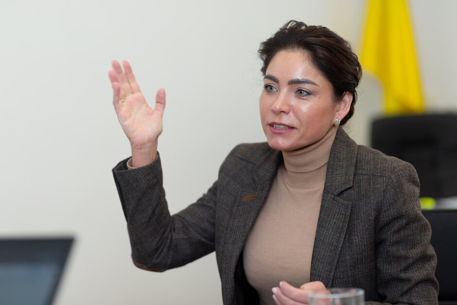 Голова АРМА: «Я побачила конкретно інтереси під певні кейси» Голова АРМА: «Я побачила конкретно інтереси під певні кейси»