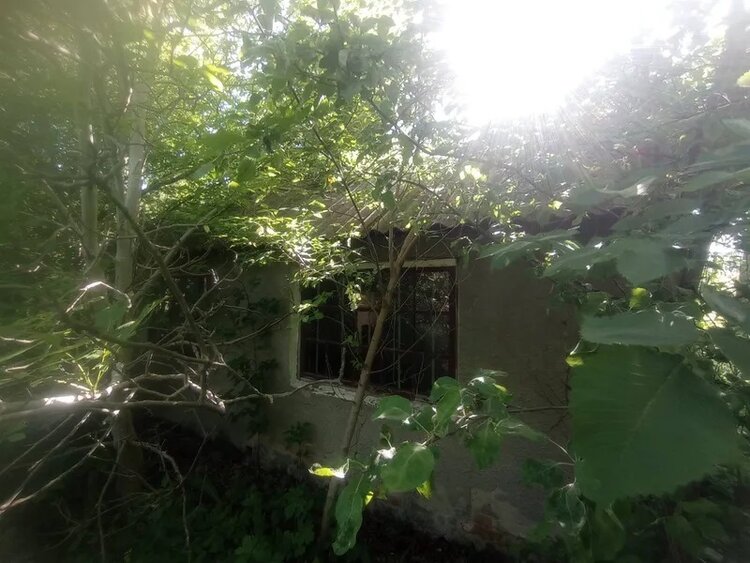 «Триліський спиртзавод» ціною у 6550 гривень. Як так сталося, що ФДМУ продав це підприємство за одну мінімальну зарплату? «Триліський спиртзавод» ціною у 6550 гривень. Як так сталося, що ФДМУ продав це підприємство за одну мінімальну зарплату?