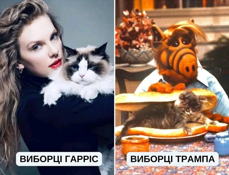 Не їсти котів та не пропускати удари в обличчя. Як світ відреагував на дебати Трампа та Гарріс Не їсти котів та не пропускати удари в обличчя. Як світ відреагував на дебати Трампа та Гарріс