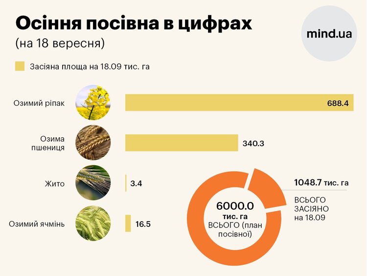 Врожаї воєнного часу: п'ять особливостей осінньої посівної кампанії Врожаї воєнного часу: п'ять особливостей осінньої посівної кампанії