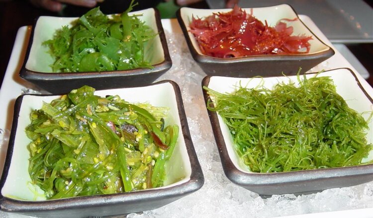 Food Fashion: 10 харчових трендів, які визначать продовольчий ландшафт у 2025 році Food Fashion: 10 харчових трендів, які визначать продовольчий ландшафт у 2025 році