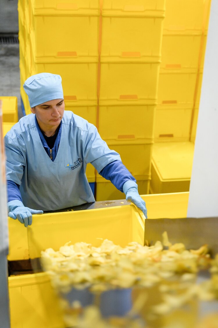 Дійсно зіркові: як група компаній Star Brands перетворила окремі бренди на бізнес-екосистему Дійсно зіркові: як група компаній Star Brands перетворила окремі бренди на бізнес-екосистему