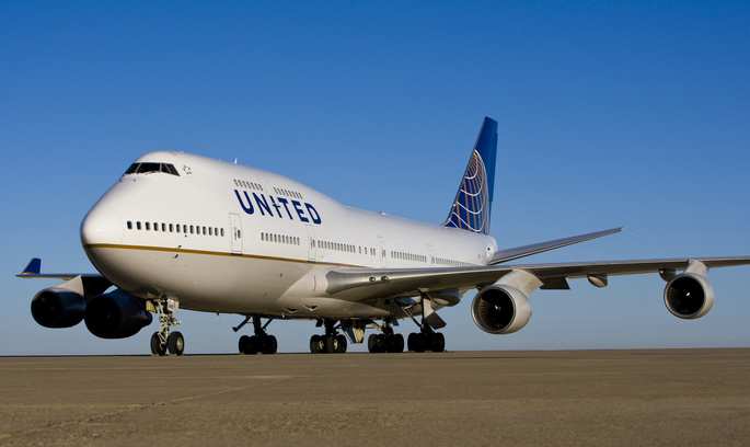 Знову скандал: на борту літака United Airlines вмер найбільший у світі кролик Знову скандал: на борту літака United Airlines вмер найбільший у світі кролик