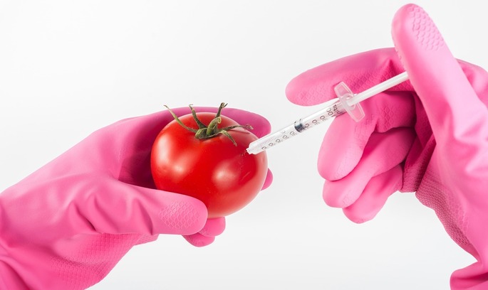 ГМО наступає: площі засівання модифікованих культур збільшилися