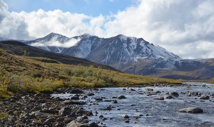 Arctic National Wildlife Refuge - Арктичний національний заповідник дикої природи Трамп вирішив добувати нафту на території національного заповідника