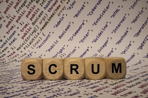  :     SCRUM.      