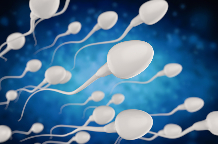 У чоловіків більш як вдвічі знизилася кількість сперматозоїдів – дослідники