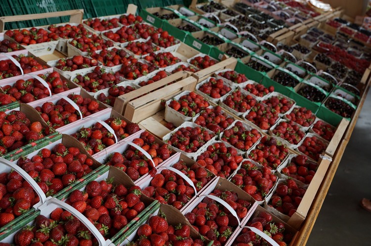 Українська сільгосппродукція подорожчала на 10% з початку року Українська сільгосппродукція подорожчала на 10% з початку року