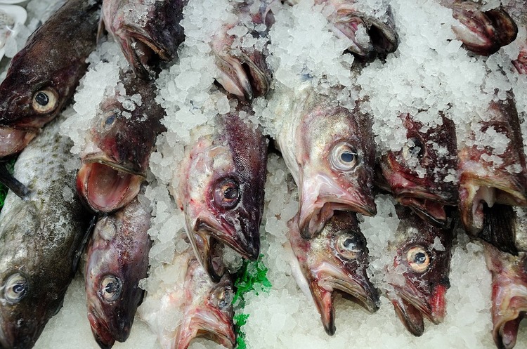 В США можуть заборонити ввіз морепродуктів з Китаю, які виробляють працівники з Північної Кореї В США можуть заборонити ввіз морепродуктів з Китаю, які виробляють працівники з Північної Кореї