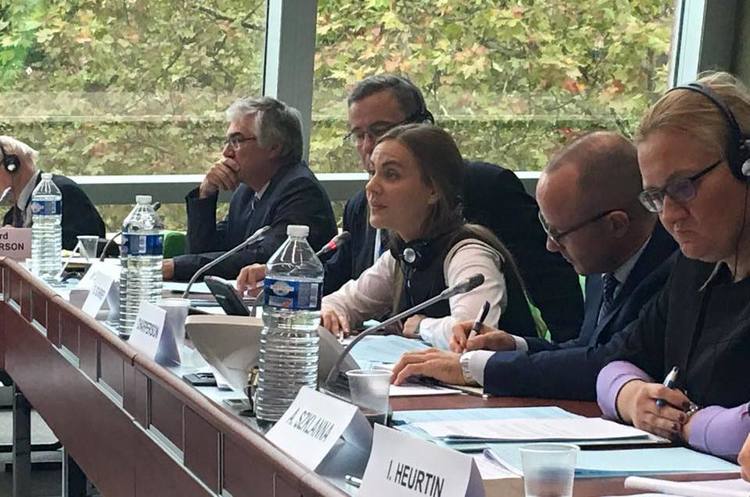 фото Facebook Леонід Ємець Українка очолила юридичний комітет ПАРЄ
