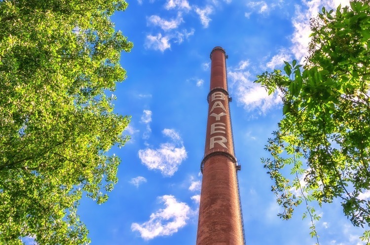pixabay.com BASF купує частину бізнесу Bayer з виробництва насіння та гербіцидів за $7 млрд