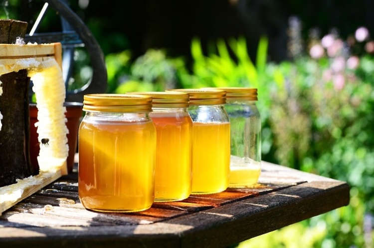 Україна побила рекорд по обсягу експортованого меду