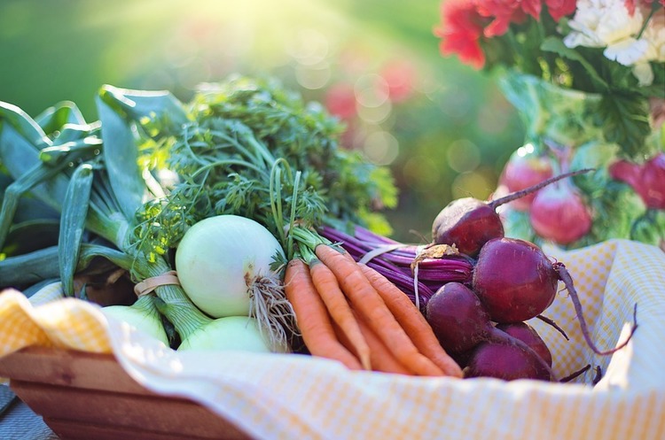 Фото: pixabay.com Світові ціни на продовольчі продукти в жовтні виросли на 2,5%