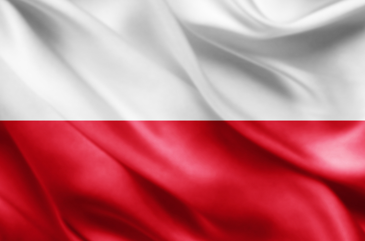 Польща планує захищатися від АЧС стіною на кордоні з Україною Польща планує захищатися від АЧС стіною на кордоні з Україною