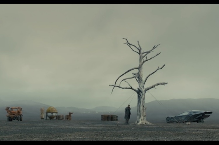 IMDB Blade Runner 2049 Через глобальне потепління чверть планети може перетворитися на пустелю – вчені