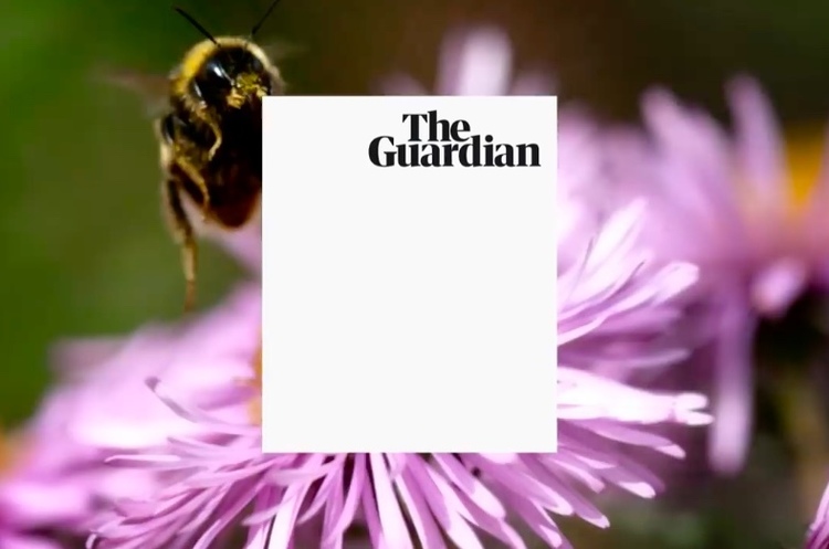The Guardian перейшла у форму таблоїда The Guardian перейшла у форму таблоїда