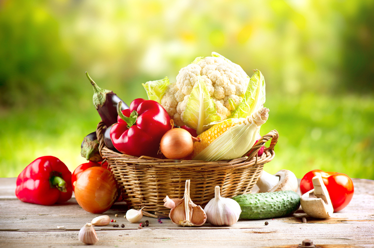 Україна за минулий рік експортувала продуктів до країн ЄС на $5,8 млрд Україна за минулий рік експортувала продуктів до країн ЄС на $5,8 млрд