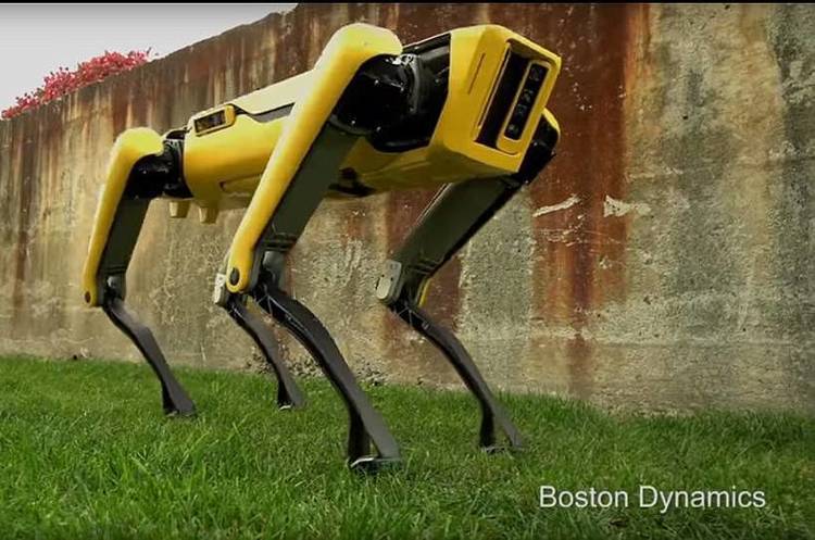 Робопса від Boston Dynamics навчили відчиняти двері (ВІДЕО) Робопса від Boston Dynamics навчили відчиняти двері (ВІДЕО)