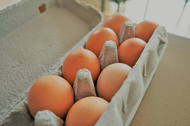Агрофірма Бахматюка отримала дозвіл на експорт яєць и яєчніх продуктів до ЄС Агрофірма Бахматюка отримала дозвіл на експорт яєць и яєчніх продуктів до ЄС