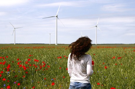 Вітряне майбутнє: коли Україна здобуде енергетичну незалежність