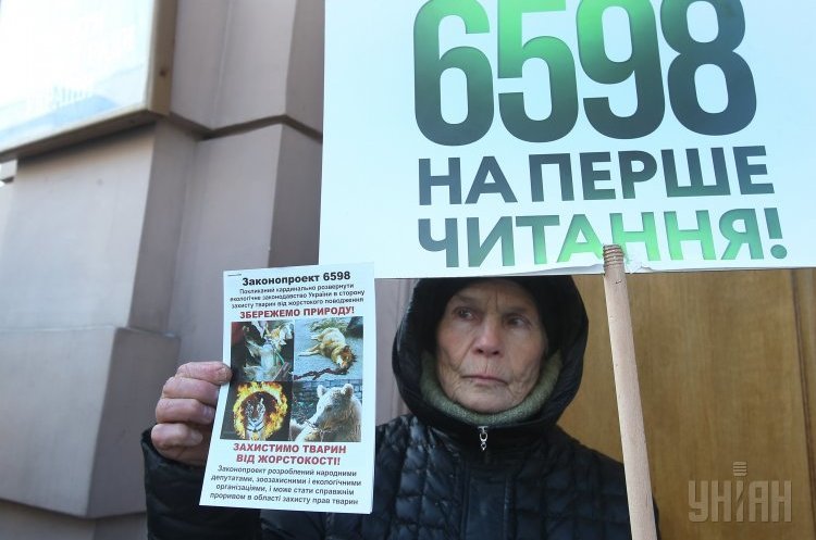 Учасники акції "Захисти тварин!", біля будівлі ВРУ, в Києві, 26 лютого 2018 року Закон про захист тварин відправили на доопрацювання