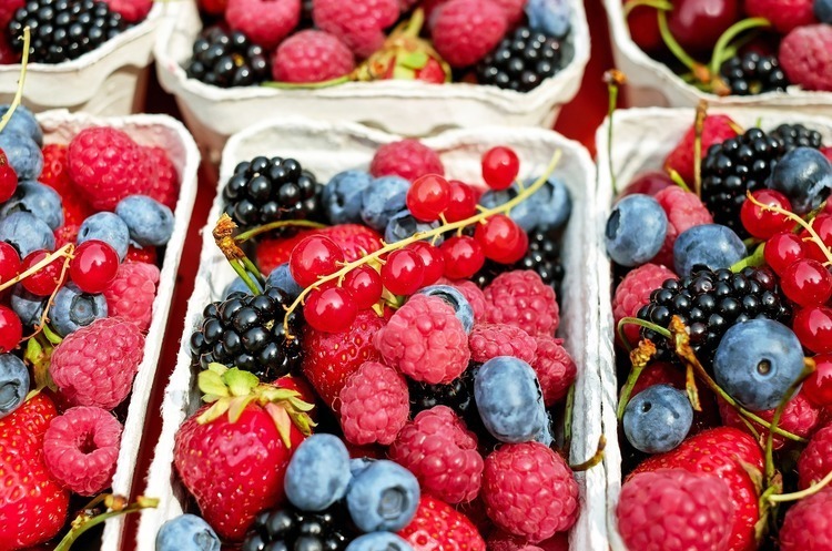 Фото pixabay.com Україна в I кварталі експортувала плодово-ягідної продукції на $57 млн