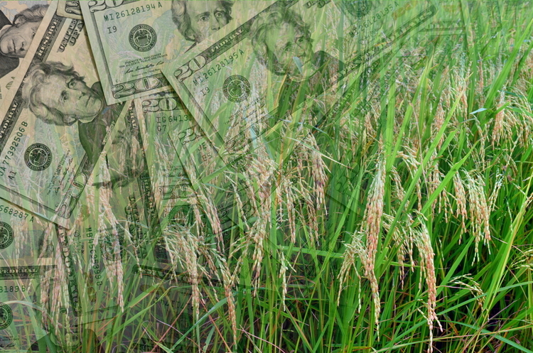 Фото: Shutterstock Французька AgroGeneration планує збільшити свої елеваторні потужності в Україні на 50%