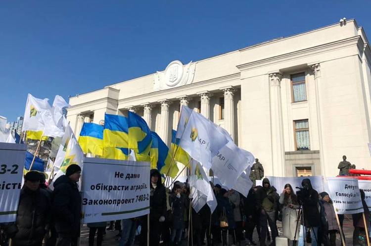 Фото: uacouncil.org ВАР очікує жорсткого перерозподілу ринку олійних культур