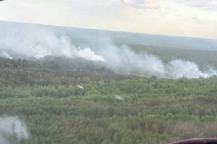 ОНОВЛЕНО: відкритого вогню у Чорнобильському лісі немає ОНОВЛЕНО: відкритого вогню у Чорнобильському лісі немає