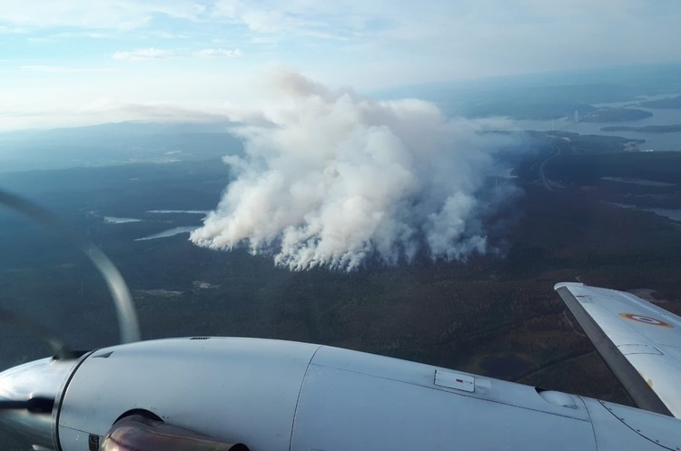 Лісові пожежі у Швеції завдали збитків на 51 млн євро