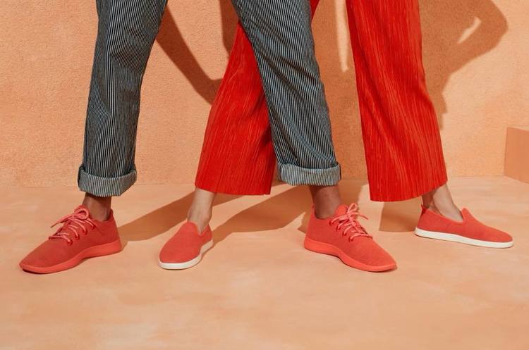 https://www.allbirds.com Як заробити $100 млн на кросівках без логотипу: стартап AllBirds підкорює Кремнієву долину